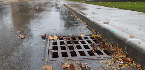 image of a catch basin on a city street with some blown leaves near it