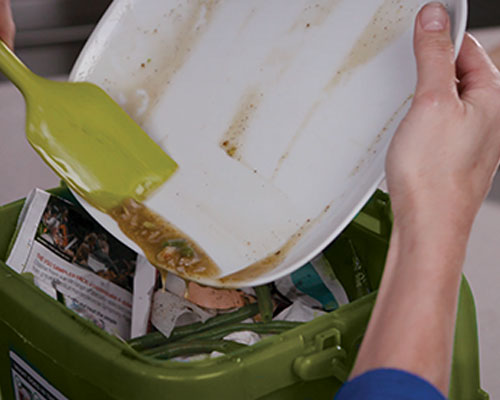 wiping grease from plate into green bin