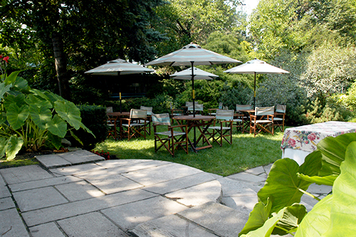 Patio with tables, umbrellas and chairs surrounded by trees