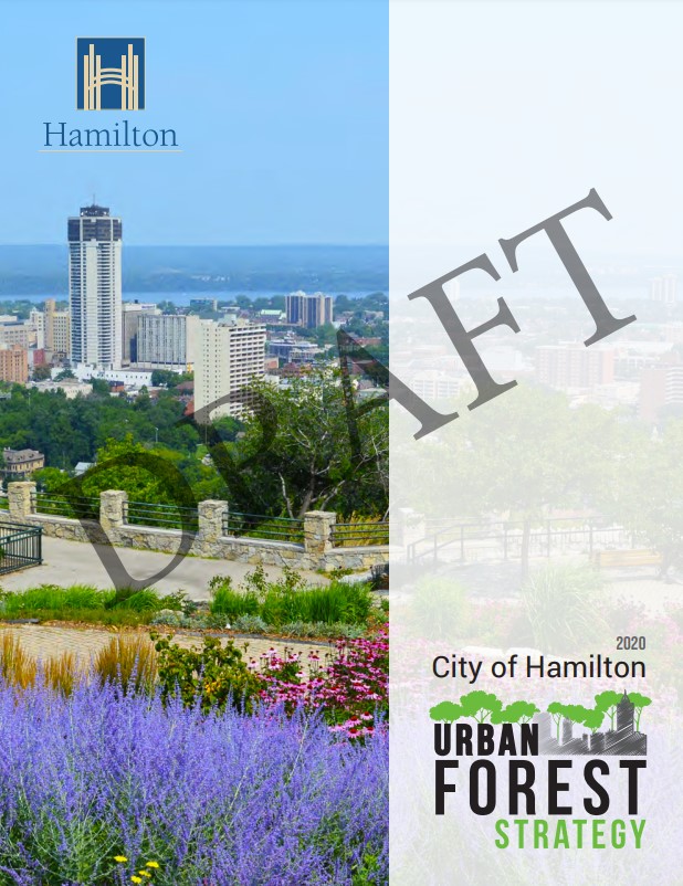 Cover of Urban Forest Strategy
