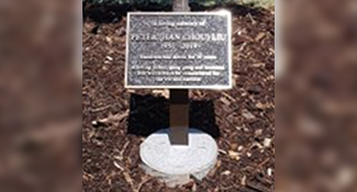 Plaque planted at base of tree