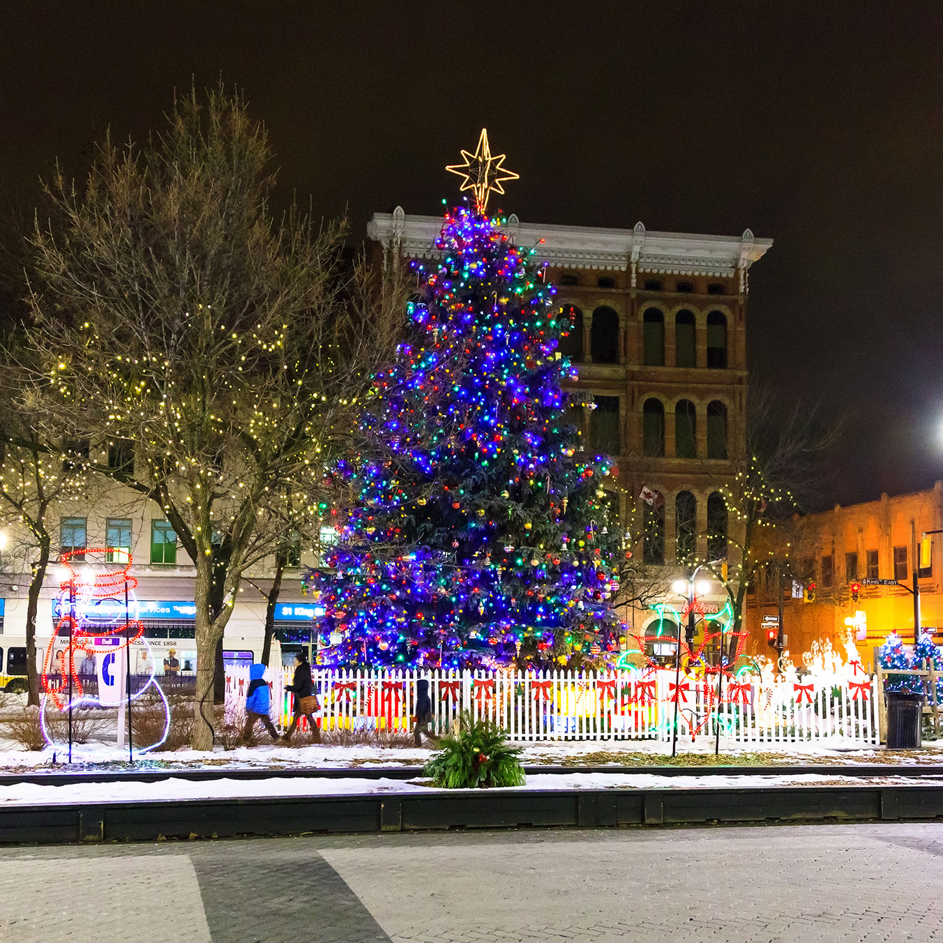 Christmas tree and lights set up in Gore Park