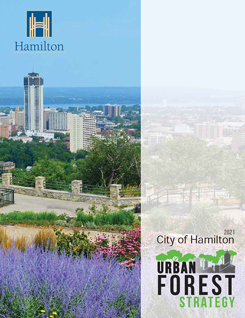 Cover of Urban Forest Strategy