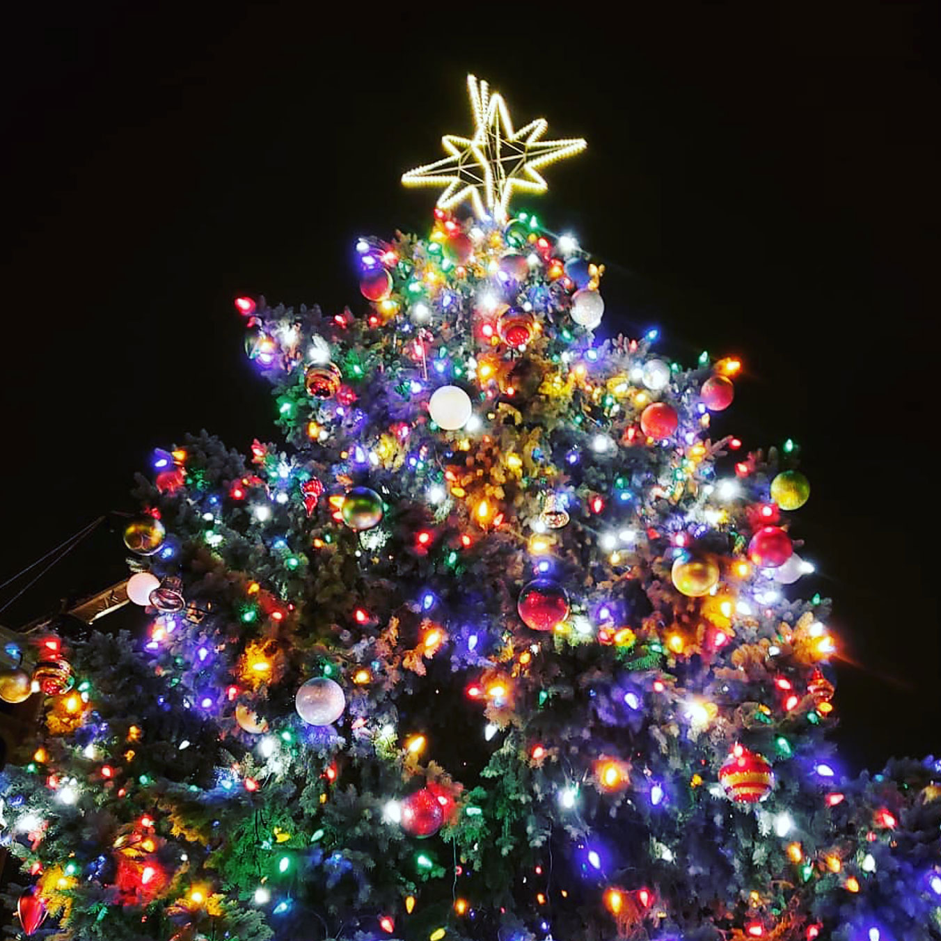 Top of Christmas Tree at Gore Park with Star Topper