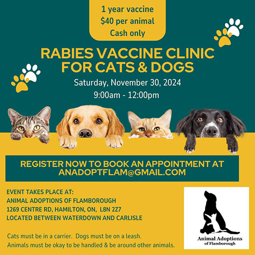 Promotion for Rabies Vaccine Clinic for Dogs & Cats