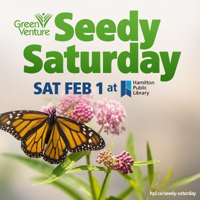 Green Venture logo. Monarch butterfly on a flower