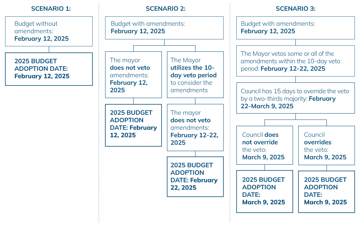 Flow Chart for 2025 Budget