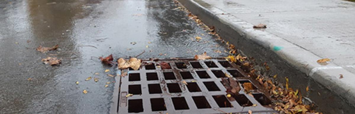 image of a catch basin on a city street with some blown leaves near it
