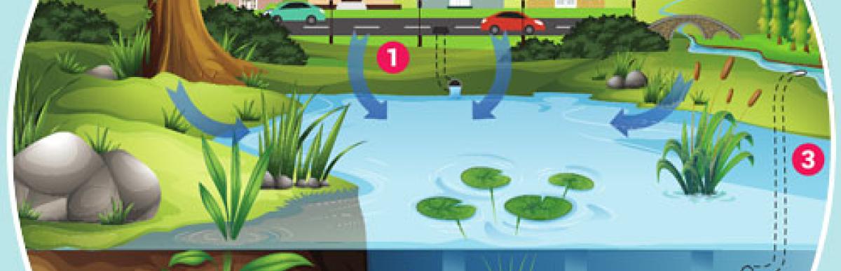 Illustration of connectivity of stormwater and the environment