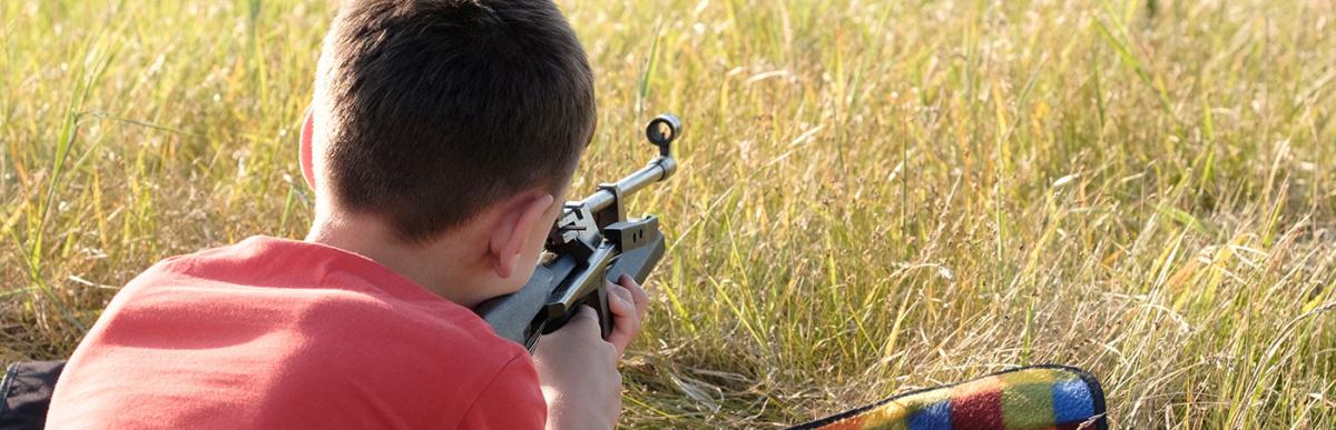 can you shoot a bb gun in your backyard ontario