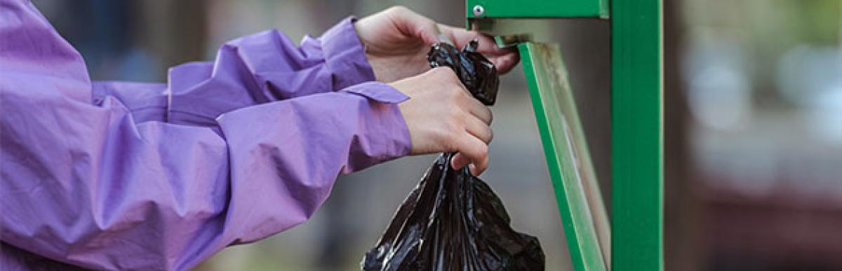 Woman discarding dog poop in garbage can at park