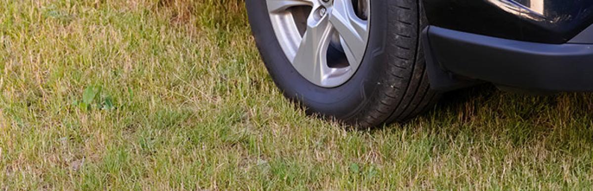 Car parked on front lawn