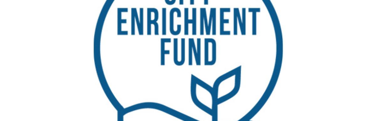 illustration of hand holding plant with the text City Enrichment Fund
