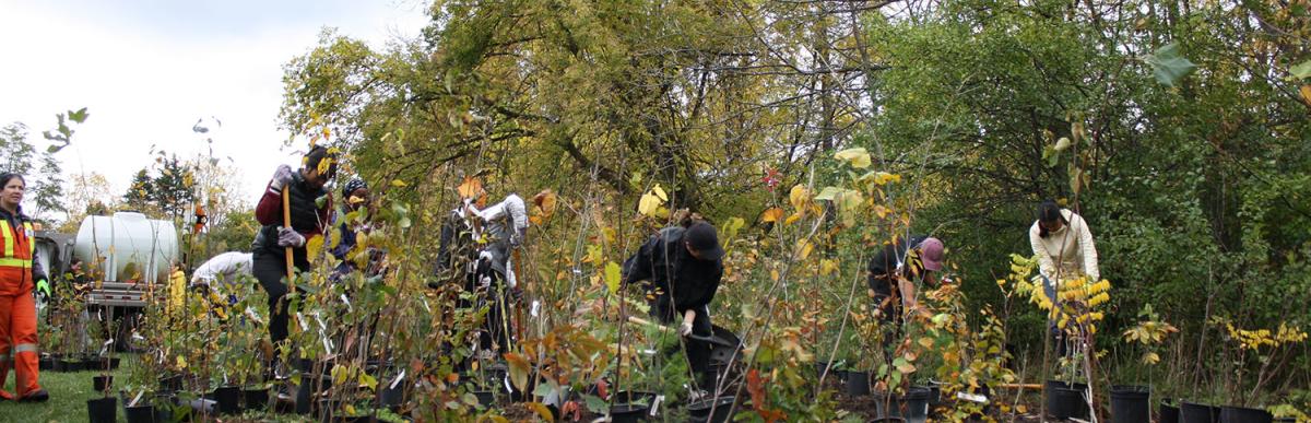 Members of the community helping to plant trees