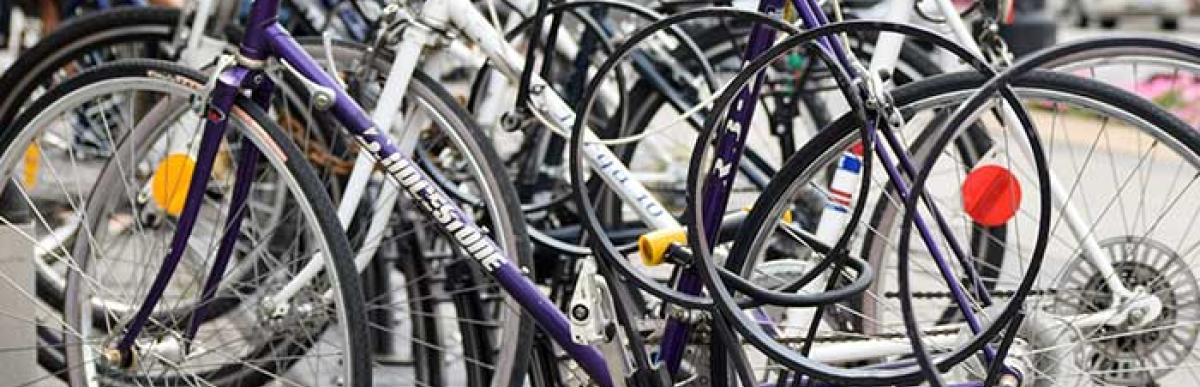 Wilson's bike hub albion park hot sale