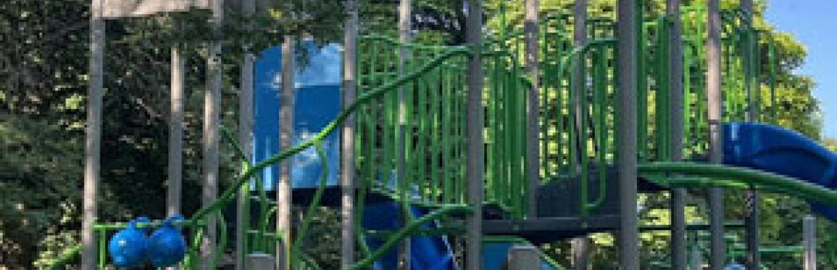 Dundurn Park new play structure