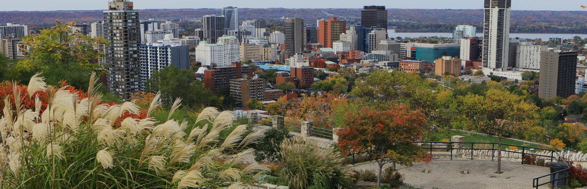 View of city from Sam Lawrence Park in autumn, colourful leaves and trees