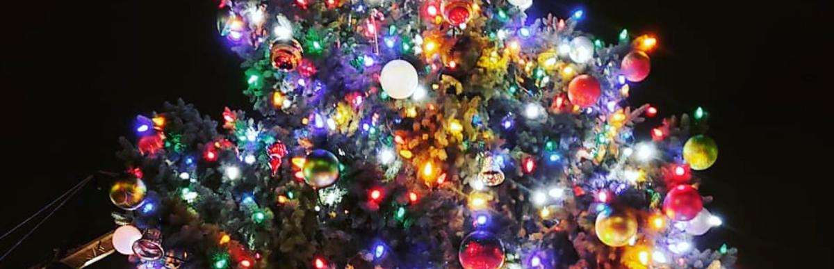 Top of Christmas Tree at Gore Park with Star Topper