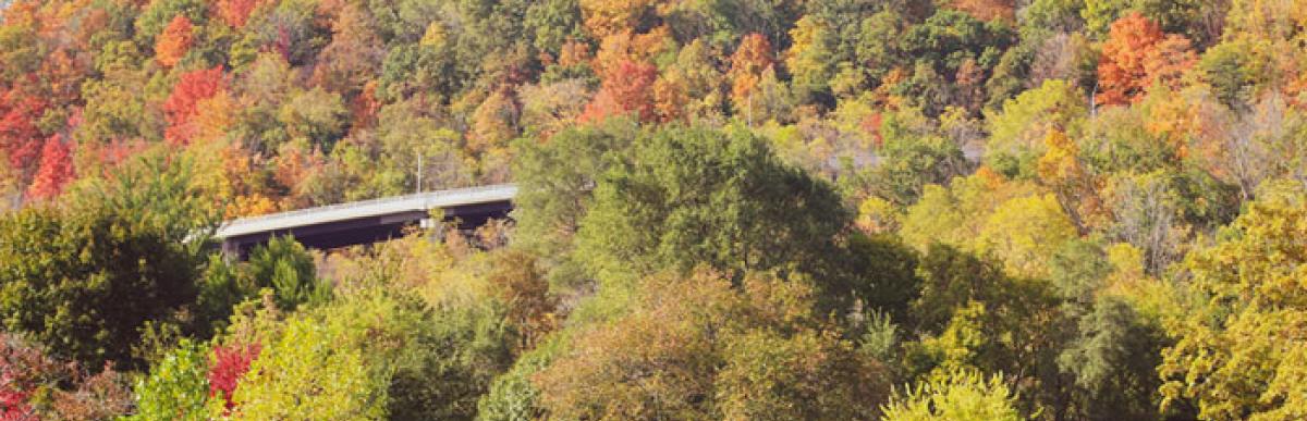 Dundas Driving Park in the fall, showing trees with colourful fall leaves