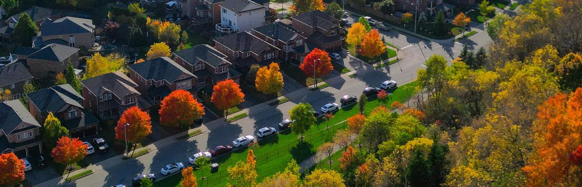 Aerial view of Hamilton residential street