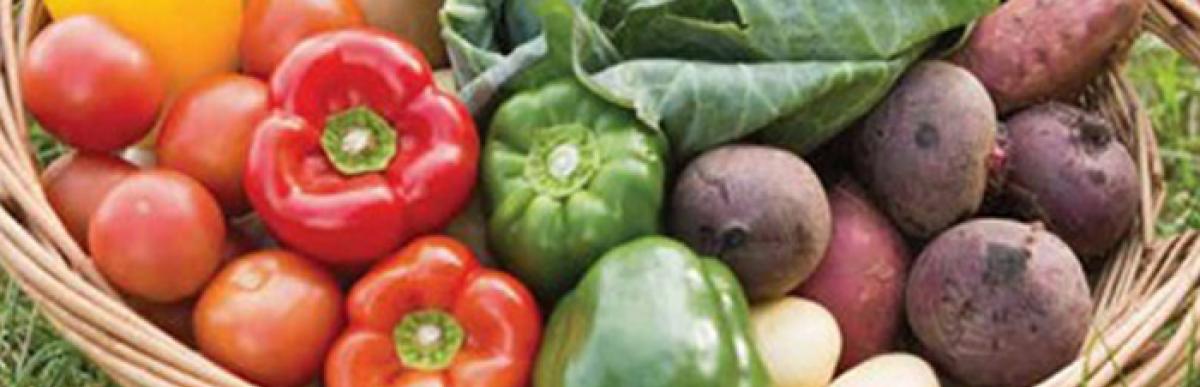 basket of fresh picked fruit and vegetables