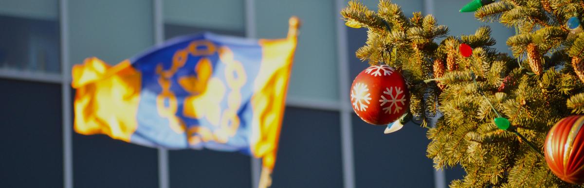 Decorated Christmas tree at City Hall with municipal flag in the background