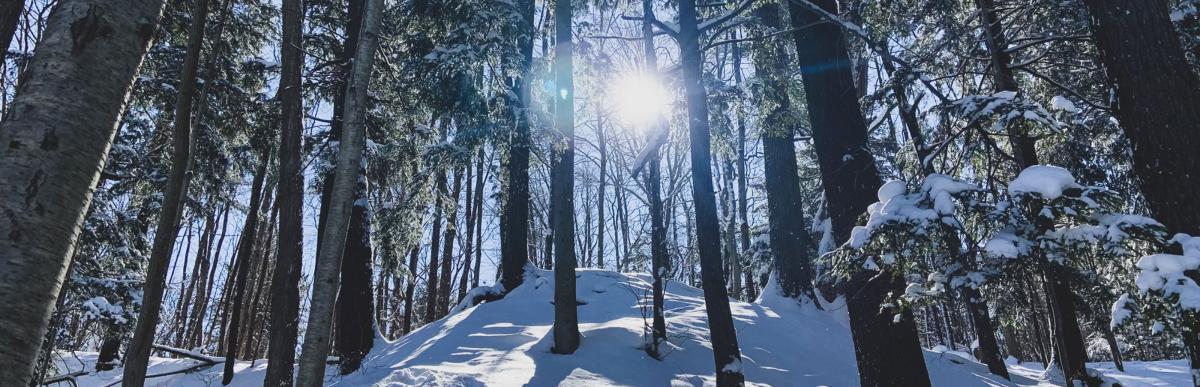 Trail in winter in Dundas Valley