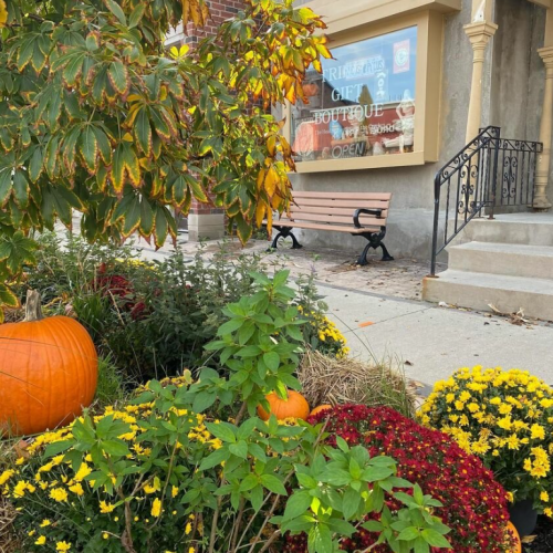 Fall mums and pumpkin decor on sidewalk in front of a boutique store