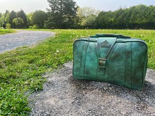 https://www.hamilton.ca/sites/default/files/styles/wysiwyg_small_default_/public/2023-07/publicart-churchill-park-green-suitcase.jpg?itok=8mVf04QE
